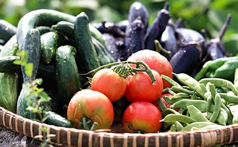 (必备)我最喜欢的蔬菜作文