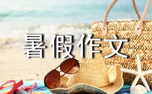 精选暑假作文作文300字汇编8篇