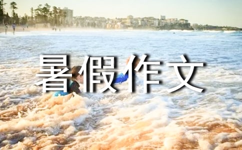 ���ĵ��������