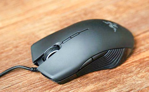 可爱的“鼠标”作文