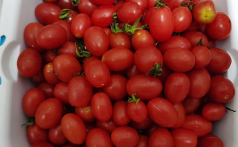 ��������ϲ����ˮ������15ƪ