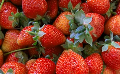 制作水果拼盘的作文4篇