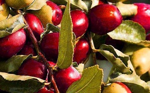 ��ѡ��ˮ��������ƪ