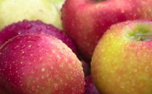 ����ѡ���ҵ�ϲ����ˮ������6ƪ