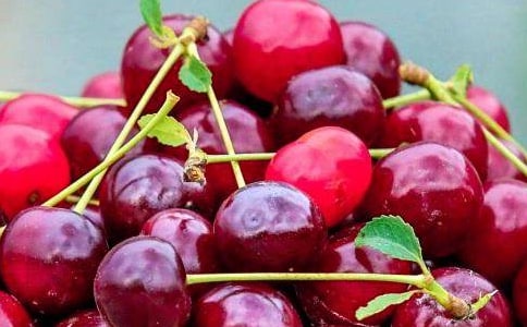 关于喜欢的水果的作文3篇