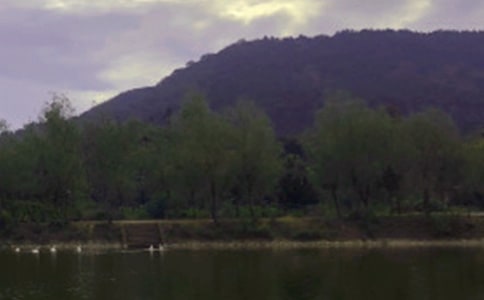 ˮ�������