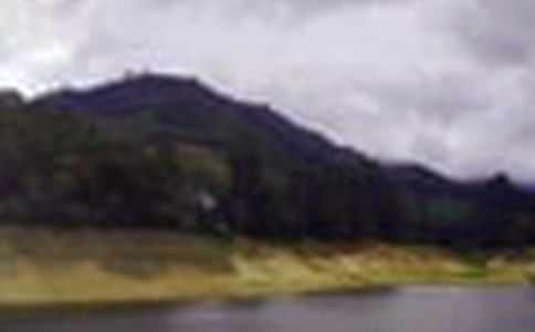 ˮ�������ͨ��15ƪ