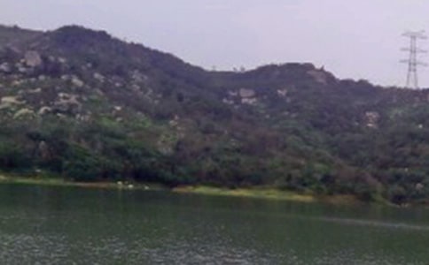 水库的作文15篇