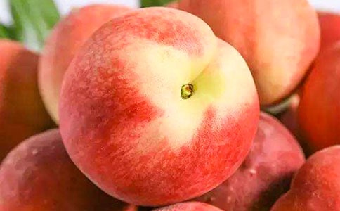 ˮ��������15ƪ(����)