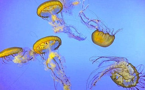 �۲�ˮĸ����