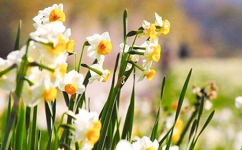 дˮ�ɻ�����