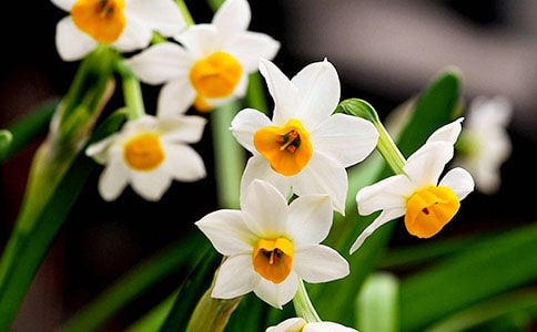 ����ˮ�ɻ�������(����15ƪ)