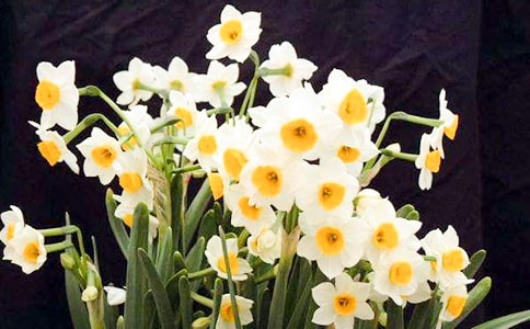 ˮ�ɻ����ġ���Ʒ��