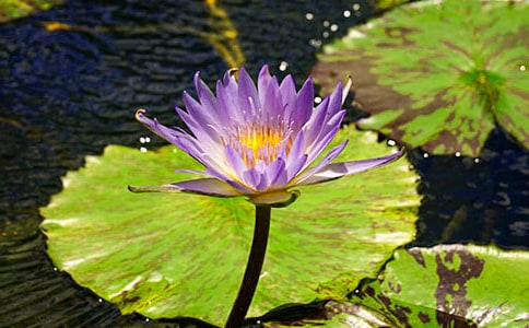 ˯���۲��ռ�