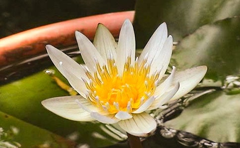 д˯��������2ƪ