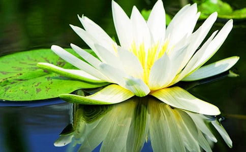 ���е�˯������