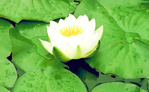 ����˯�����ģ�ͨ��31ƪ��