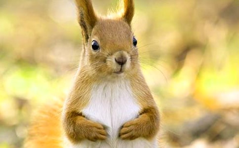 ���������(���15ƪ)