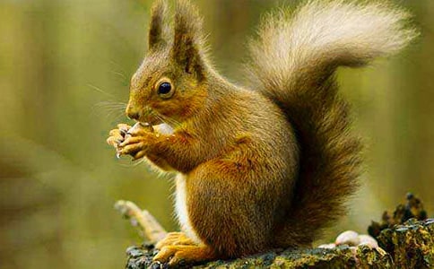 ��д���������