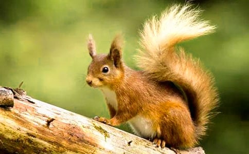 С��������