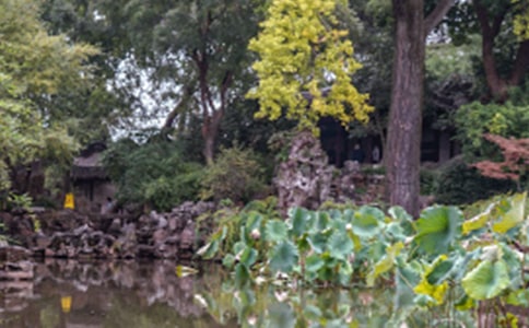 ����԰������ (15ƪ)