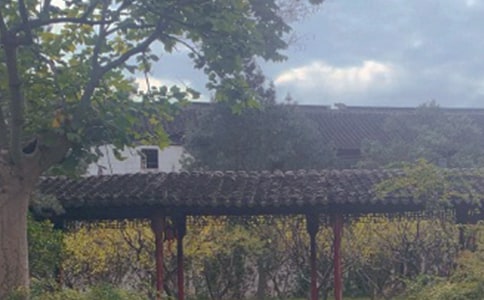 ����԰������(15ƪ)