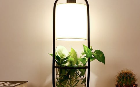 我的小台灯作文【热】