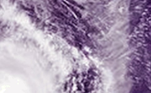 台风的作文合集(15篇)