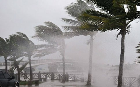 台风来了作文常用(15篇)