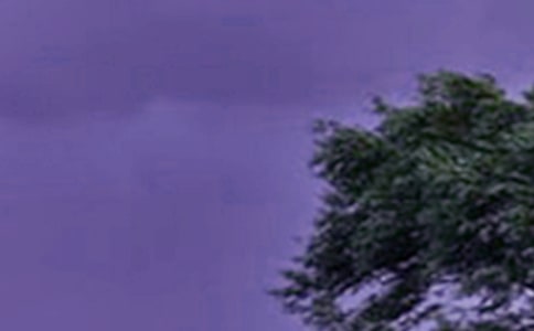 �����š�̨�������