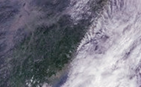 台风过后作文集锦15篇