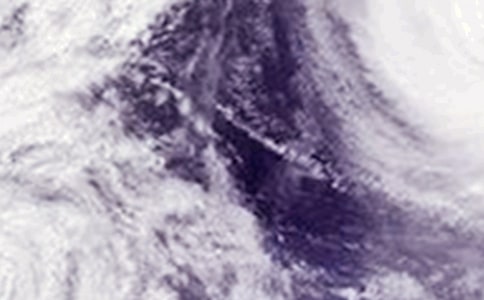 关于台风的作文经典【15篇】