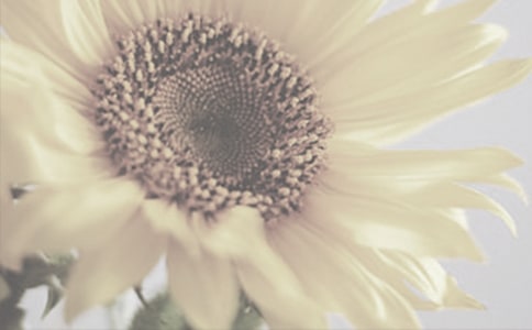 ̫����������