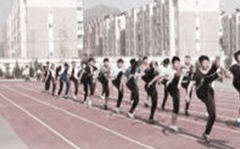 Сѧ������ѧ�ܽ�15ƪ