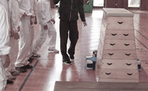 体育教学心得体会