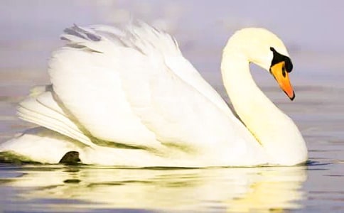 Ұ�������15ƪ���ϼ���