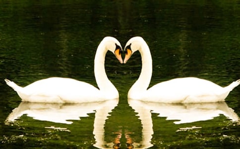 ��Ұ��졷�����15ƪ