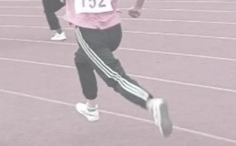 �ﾶ��������