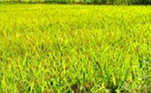 ��Ұ���ķ���