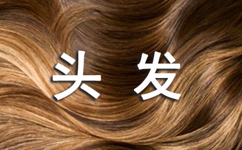 写头发的作文
