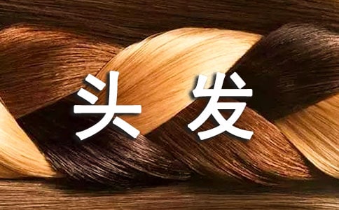 写头发的作文9篇