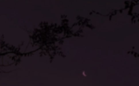 ������Ϫ����