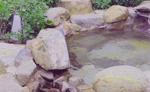 泡温泉作文15篇(优选)