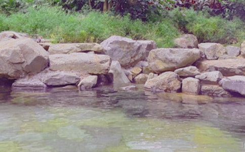 ���ȡ�����Ȫ����