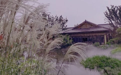 【荐】泡温泉作文