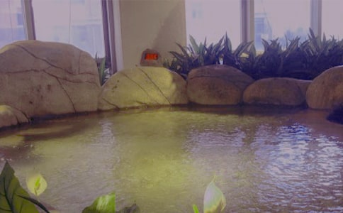 泡温泉作文【精】