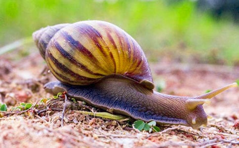 ��ţ������[����15ƪ]