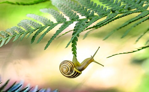 ��ţ������[����63ƪ]