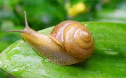 �۲���ţ����