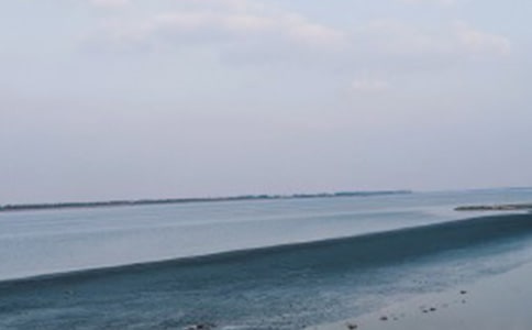 我们看海去作文